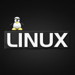 初始化Linux数据盘（fdisk）+划分分区并挂载磁盘+设置开机自动挂载磁盘分区-Mr_God's Note